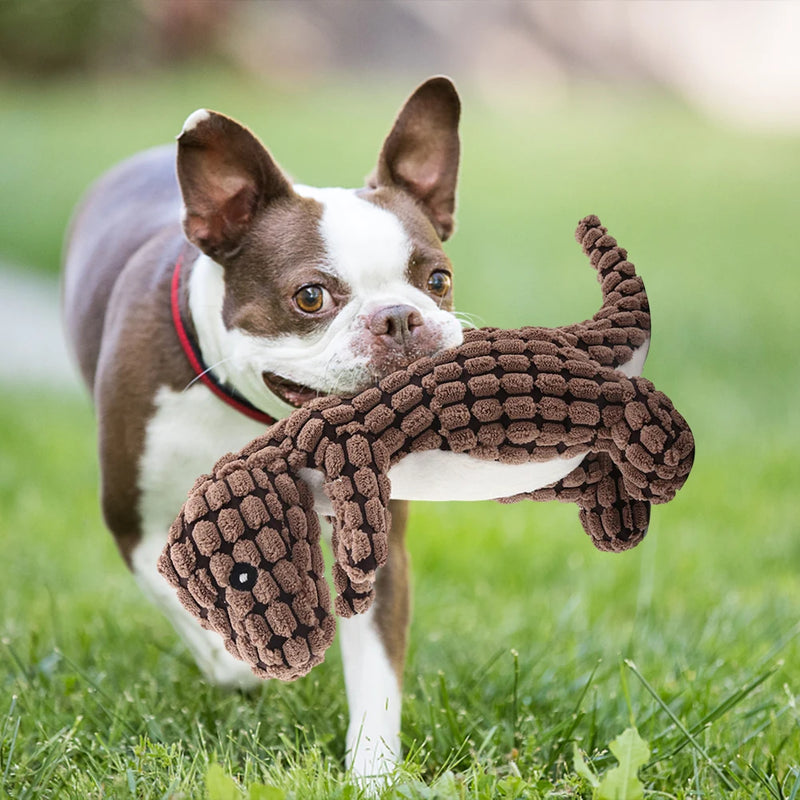 Dinossauro mastigável de Pelúcia para cães