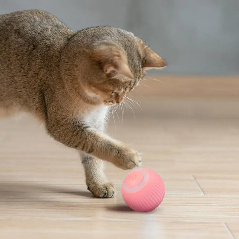 Bola Inteligente para Pet - Smart Ball